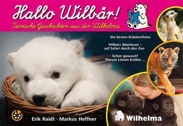 Cover von Hallo Wilbär