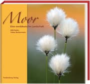Cover von Moor