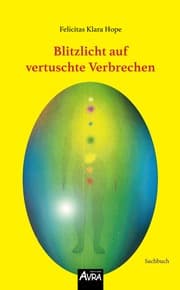 Cover von Blitzlicht auf vertuschte Verbrechen