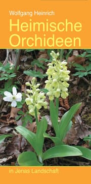 Cover von Heimische Orchideen in Jenas Landschaft