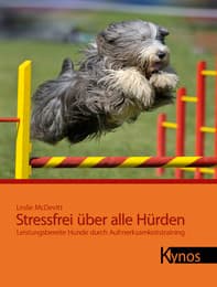 Cover von Stressfrei über alle Hürden