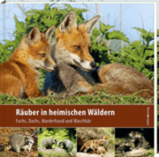 Cover von Räuber in heimischen Wäldern