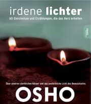 Cover von Irdene Lichter