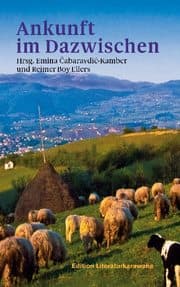Cover von Ankunft im Dazwischen