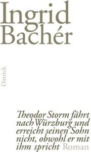 Cover von Theodor Storm fährt nach Würzburg und erreicht seinen Sohn nicht, obwohl er mit ihm spricht
