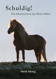 Cover von Schuldig!