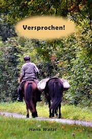 Cover von Versprochen!