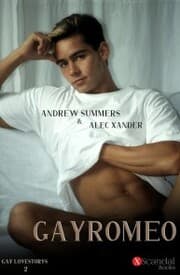Cover von Gay Romeo