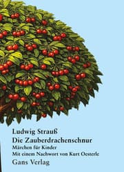 Cover von Die Zauberdrachenschnur