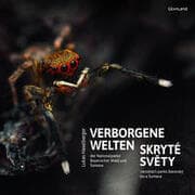 Cover von Verborgene Welten/Skryté Svety