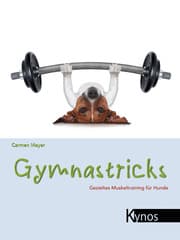 Cover von Gymnastricks