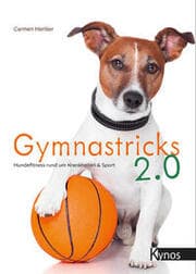 Cover von Gymnastricks 2.0