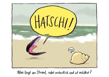 Cover von Postkartenset 'Niesnuschel'