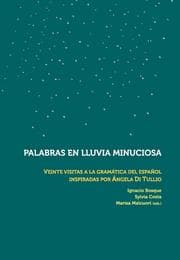 Cover von Palabras en lluvia minuciosa