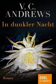 Cover von In dunkler Nacht