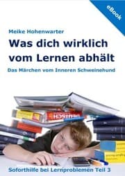 Cover von Was dich wirklich vom Lernen abhält