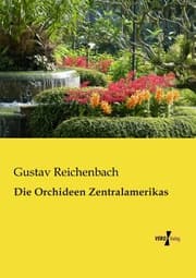 Cover von Die Orchideen Zentralamerikas