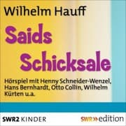 Cover von Saids Schicksale