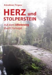 Cover von Herz und Stolperstein