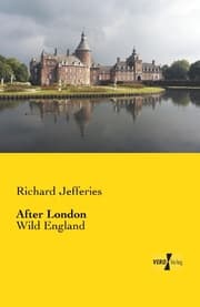 Cover von After London