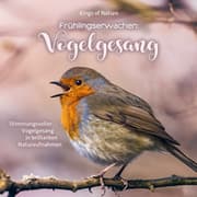 Cover von Frühlingserwachen: Vogelgesang