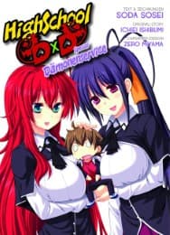Cover von HighSchool DxD Special 2
