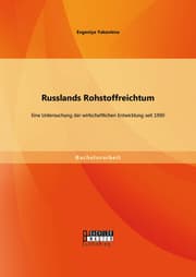 Cover von Russlands Rohstoffreichtum: Eine Untersuchung der wirtschaftlichen Entwicklung seit 1990