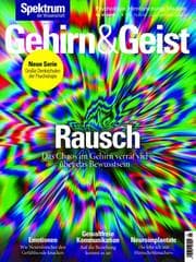 Cover von Gehirn&Geist 1/2019 Rausch