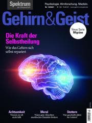 Cover von Gehirn&Geist 12/2021 Die Kraft der Selbstheilung