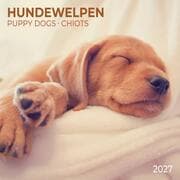Cover von Hundewelpen/Puppy Dogs 2027