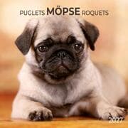 Cover von Möpse/Puglets 2027