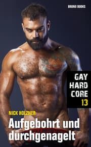 Cover von Gay Hardcore 13: Aufgebohrt und durchgenagelt