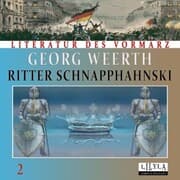 Cover von Ritter Schnapphahnski 2