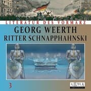 Cover von Ritter Schnapphahnski 3