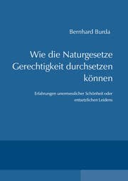 Cover von Wie die Naturgesetze Gerechtigkeit durchsetzen können