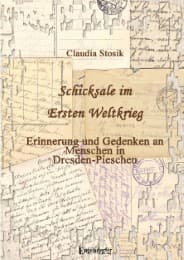 Cover von Schicksale im Ersten Weltkrieg