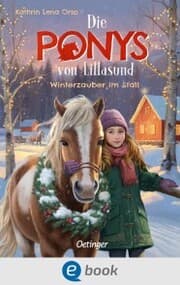 Cover von Die Ponys von Lillasund 3. Winterzauber im Stall