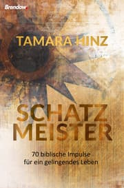 Cover von Schatzmeister
