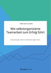 Cover von Wie selbstorganisierte Teamarbeit zum Erfolg führt. Voraussetzungen, Chancen und Nachteile agiler Teams