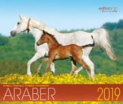 Cover von Araber 2019