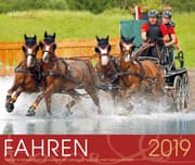 Cover von Fahren 2019