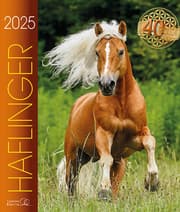 Cover von Haflinger 2025