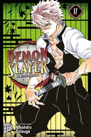 Cover von Demon Slayer - Kimetsu no Yaiba 17
