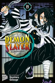 Cover von Demon Slayer - Kimetsu no Yaiba 19