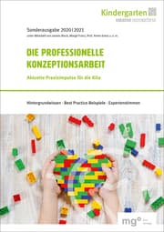Cover von Die Professionelle Konzeptionsarbeit
