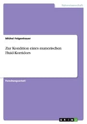 Cover von Zur Kondition eines numerischen Fluid-Korridors