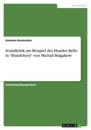 Cover von Sozialkritik am Beispiel des Hundes Bello in 'Hundeherz' von Michail Bulgakow