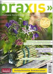 Cover von PRAXIS Nr. 118