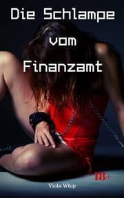 Cover von Die Schlampe vom Finanzamt