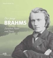 Cover von Der junge Brahms